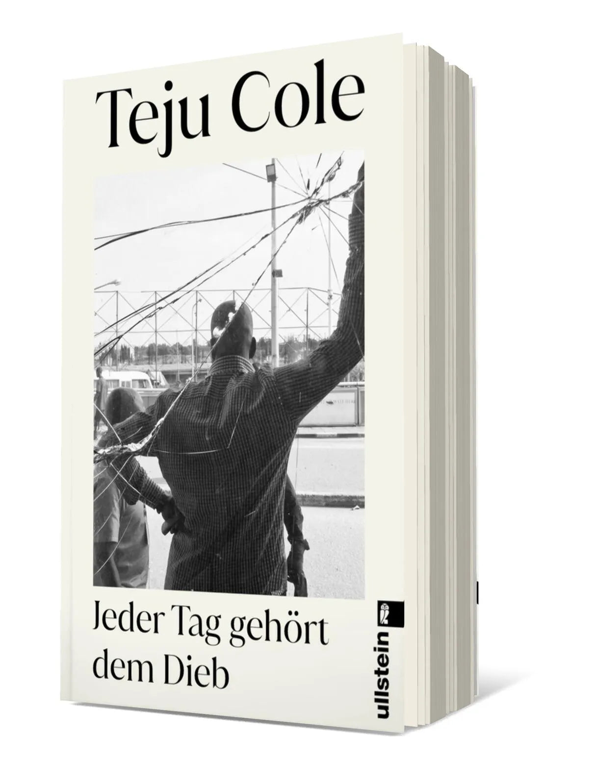 Buchcover von 'Jeder Tag gehört dem Dieb' - Taschenbuch von Teju Cole