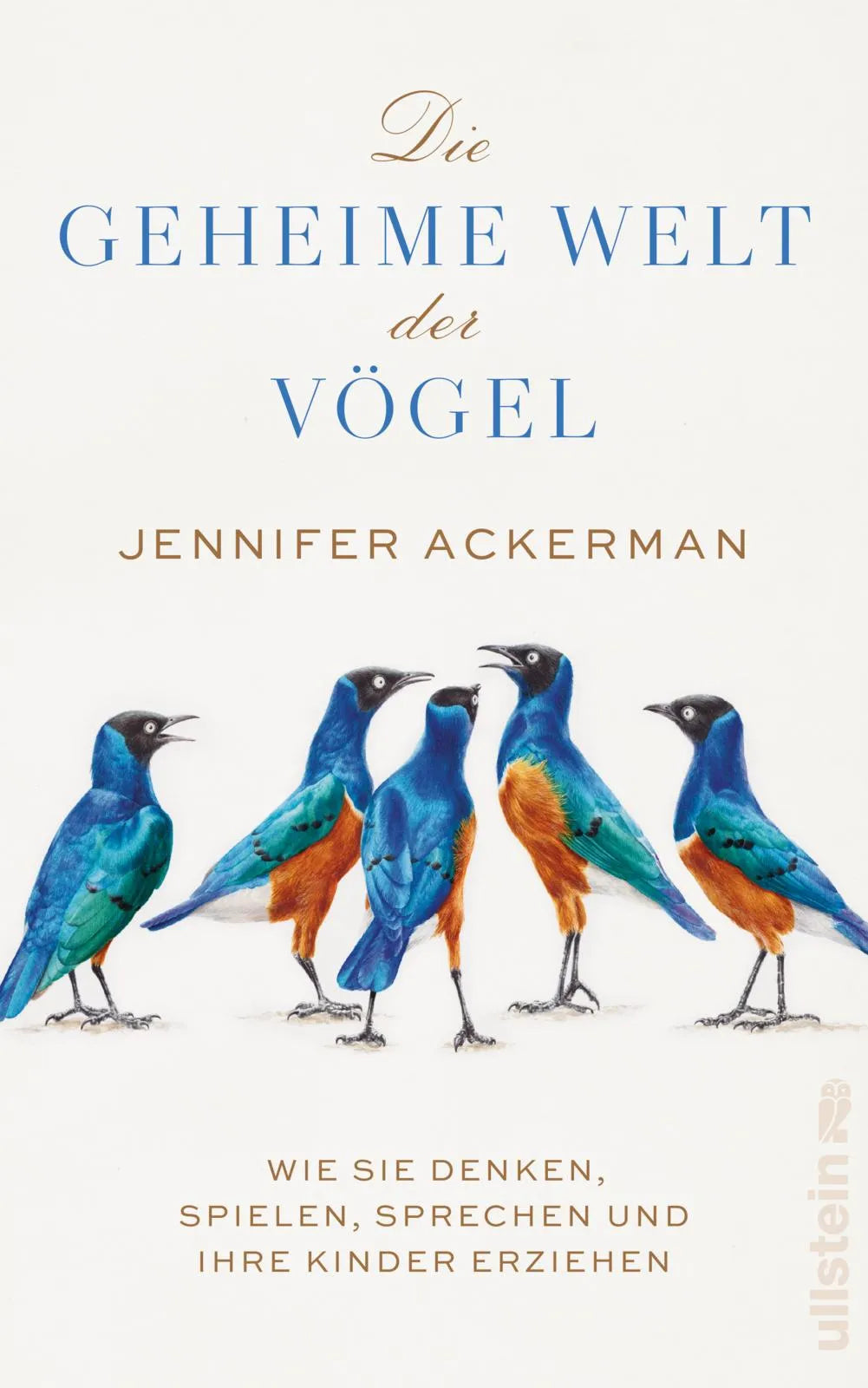 Produktansicht: Die geheime Welt der Vögel (Gebundene Ausgabe)