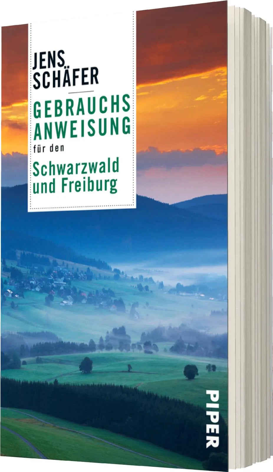 Produktansicht: Gebrauchsanweisung für den Schwarzwald und Freiburg (Taschenbuch)