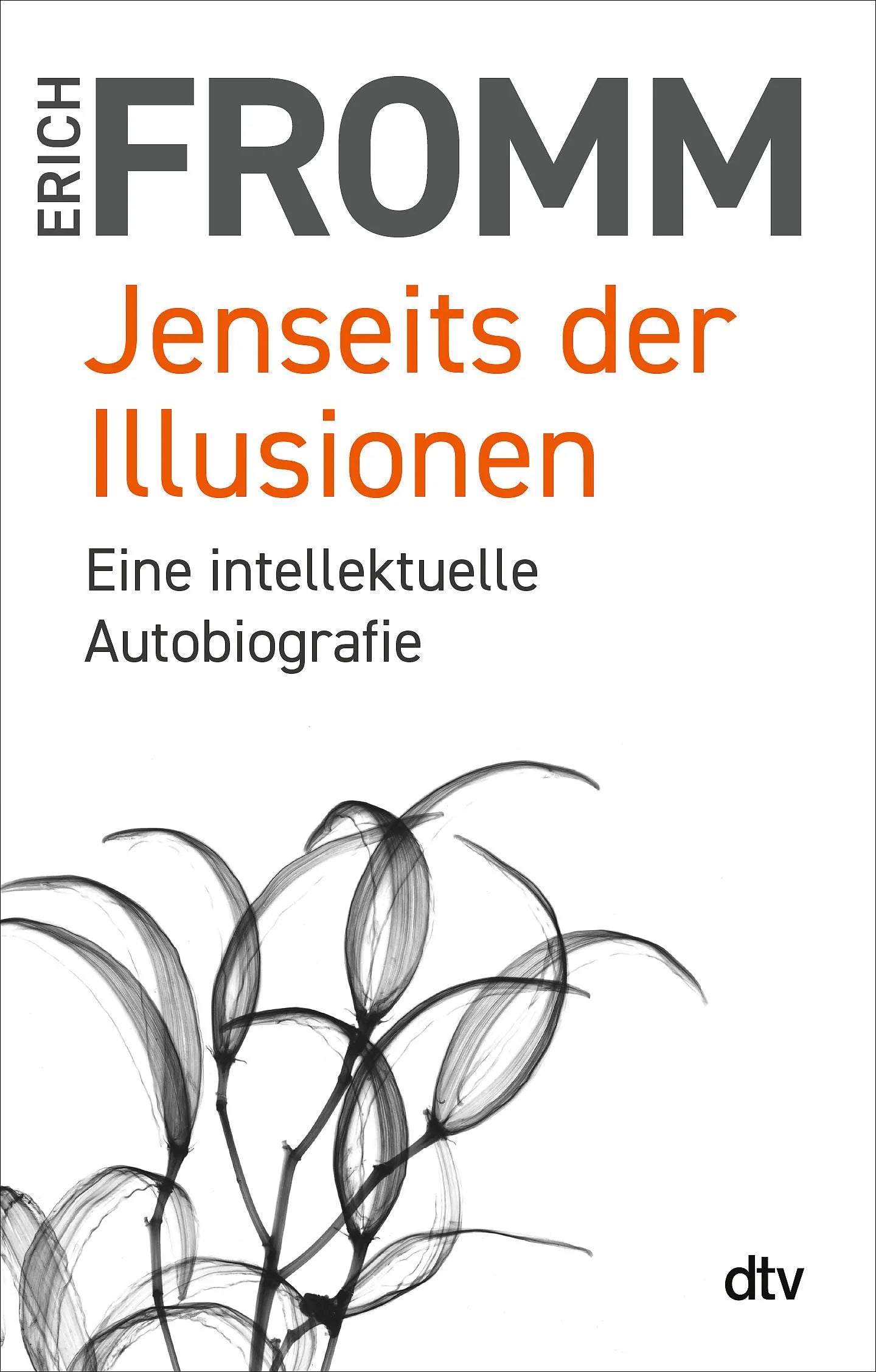 Cover: Jenseits der Illusionen (Taschenbuch) von Erich Fromm