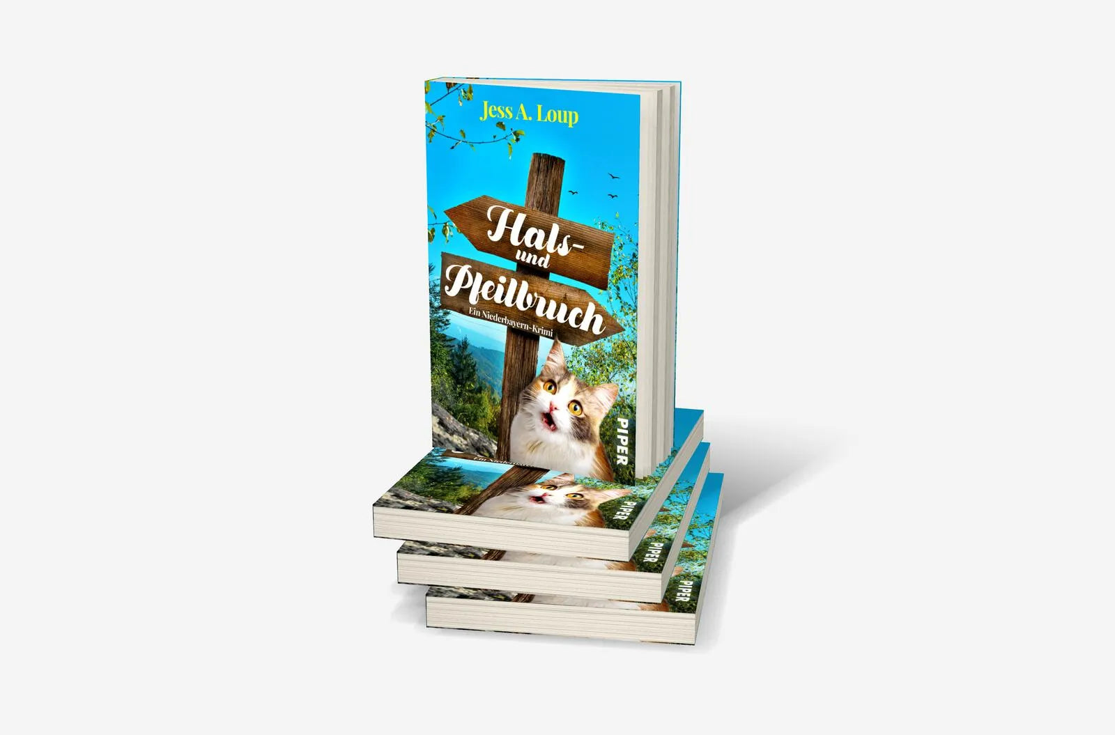 Produktansicht: Hals- und Pfeilbruch (Taschenbuch)