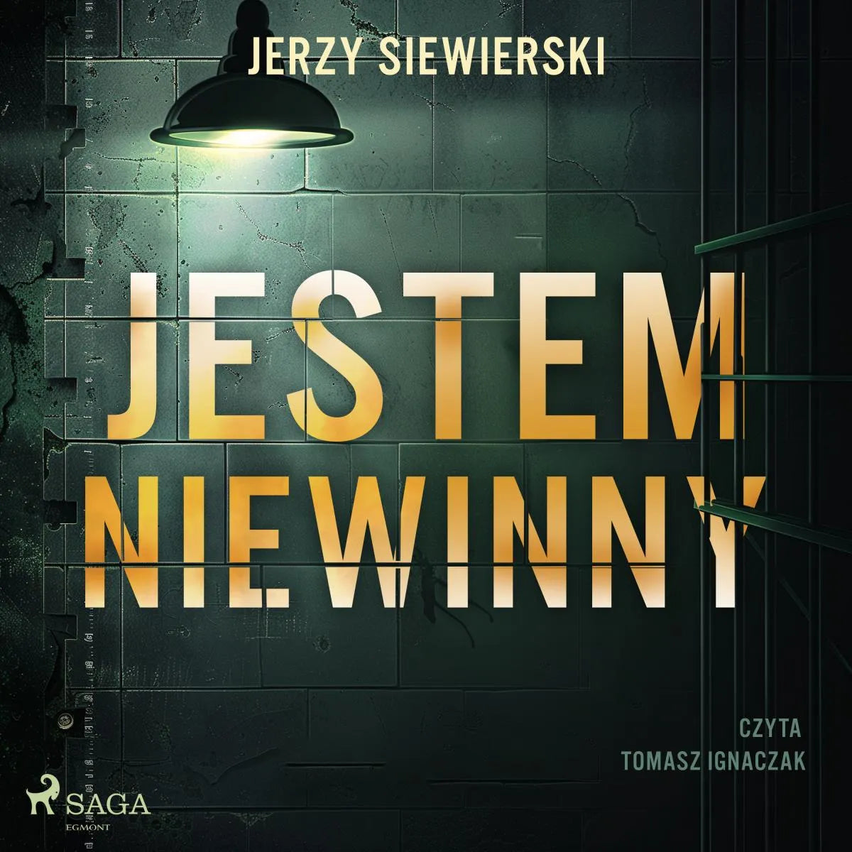 Cover: Jestem niewinny (Hörbuch Download) von Jerzy Siewierski
