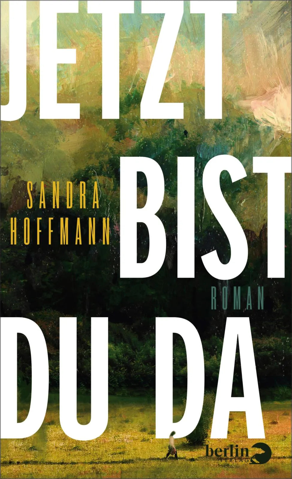 Buchcover von 'Jetzt bist du da' - Gebundene Ausgabe von Sandra Hoffmann