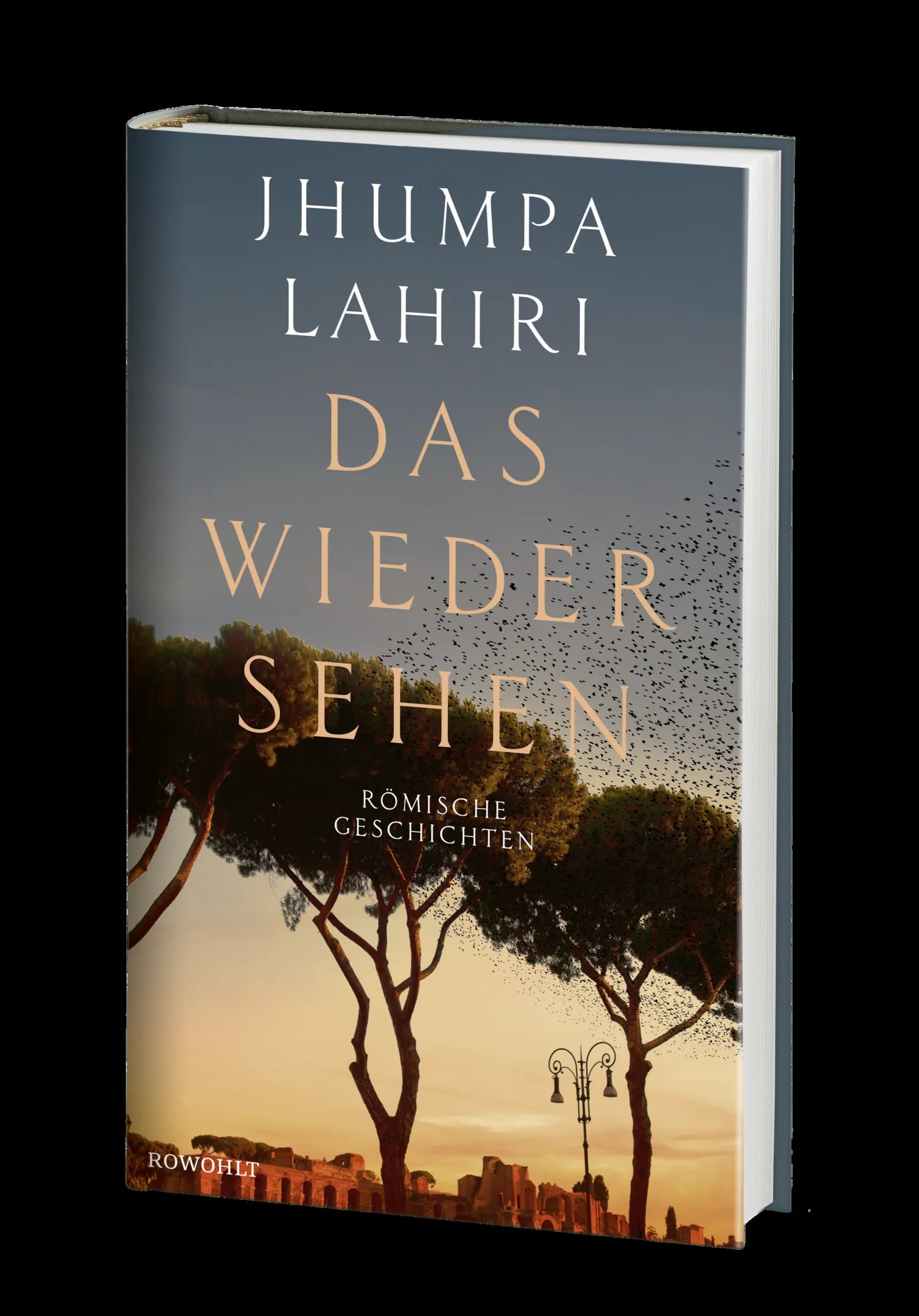 Produktansicht: Das Wiedersehen (Gebundene Ausgabe)