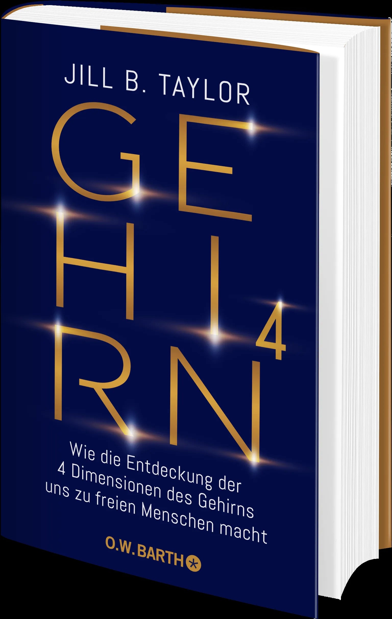 Produktansicht: Gehirn^4 (Gebundene Ausgabe)