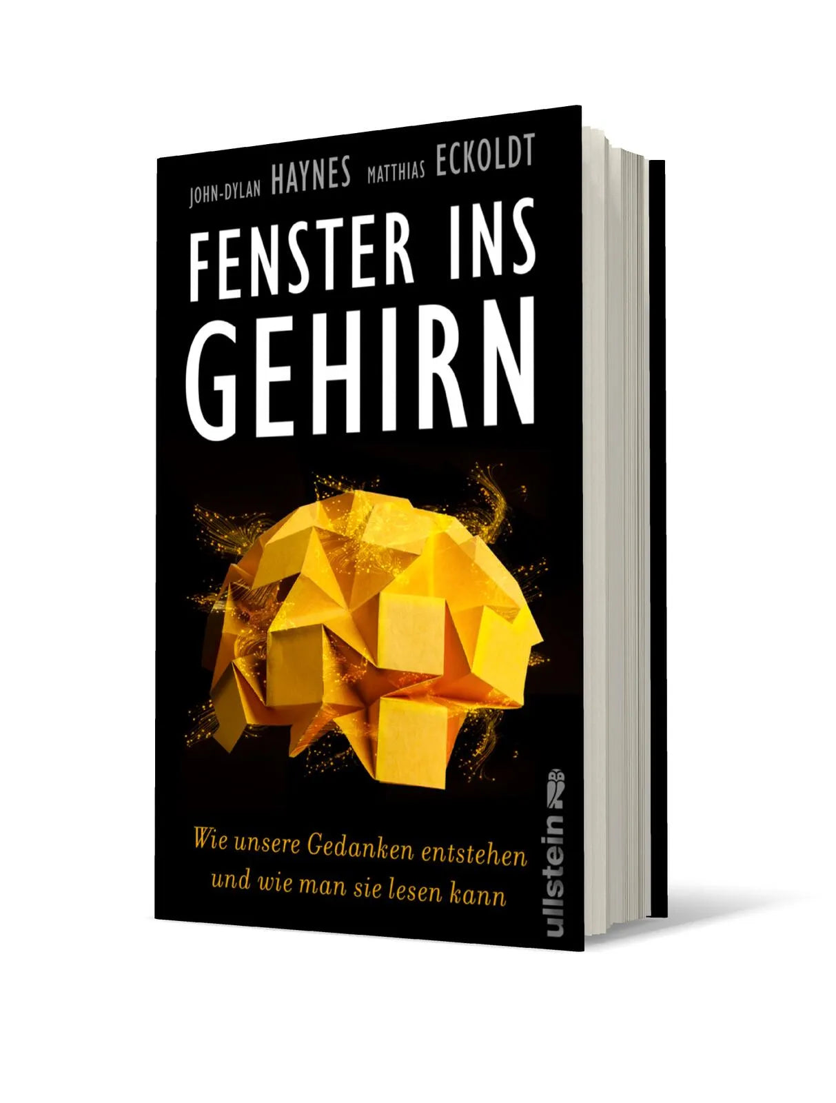 Produktansicht: Fenster ins Gehirn (Gebundene Ausgabe)