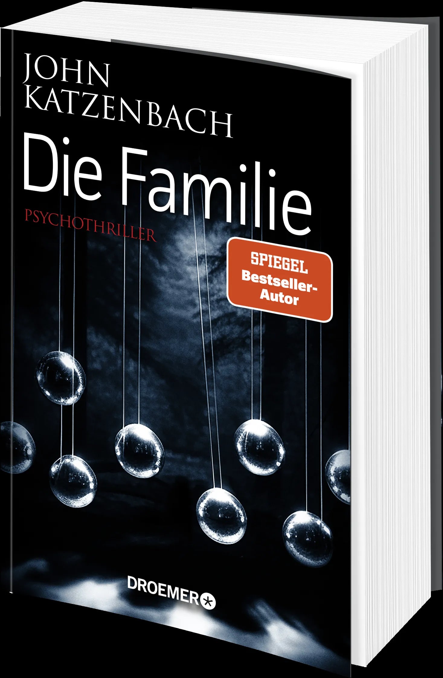 Produktansicht: Die Familie (Paperback)