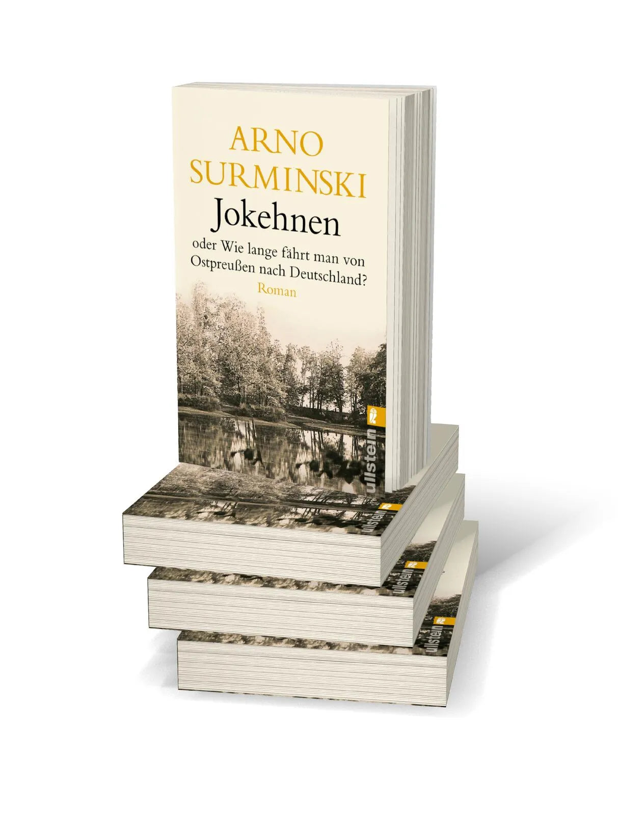 Produktansicht: Jokehnen (Taschenbuch)