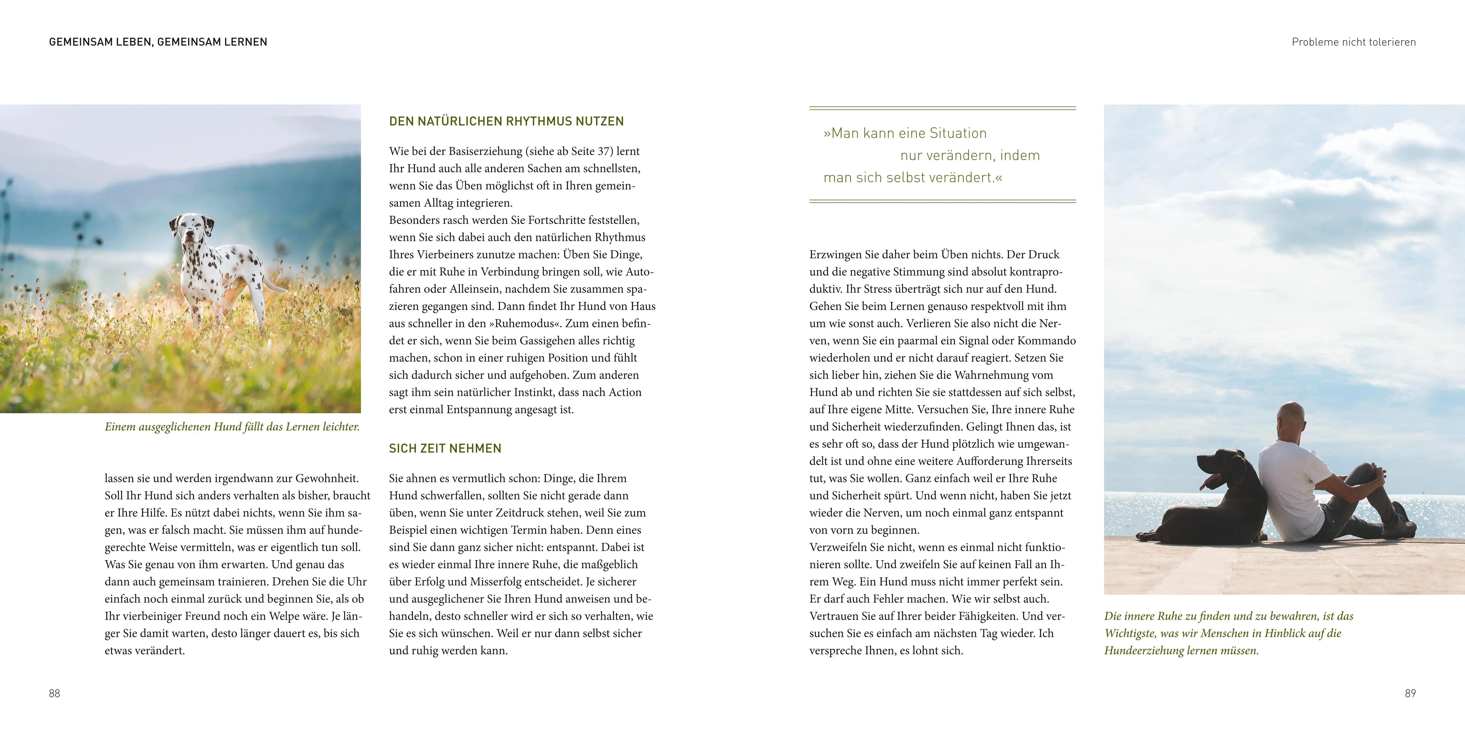 Abbildung von 'José Arce's Praxisbuch'