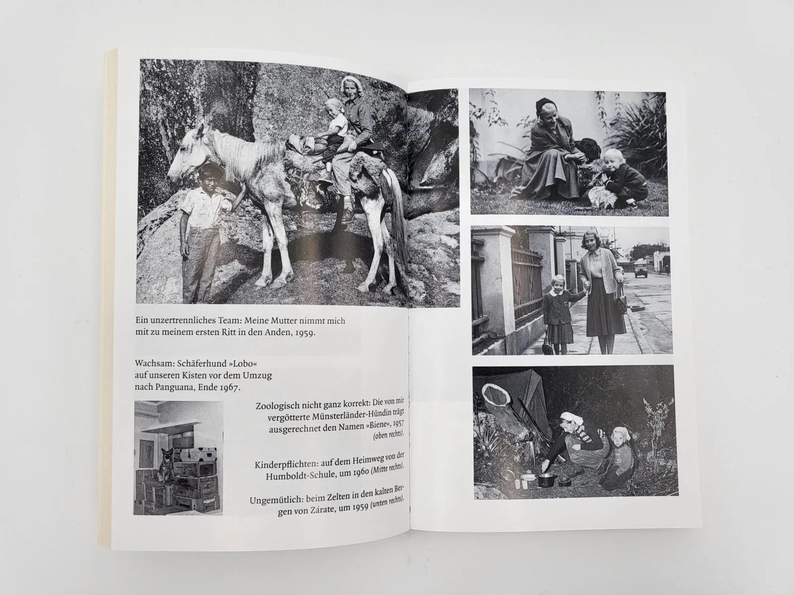 Produktansicht: Als ich vom Himmel fiel (Taschenbuch)