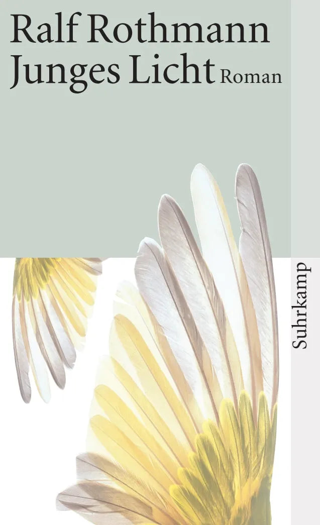 Buchcover von 'Junges Licht' - Taschenbuch von Ralf Rothmann