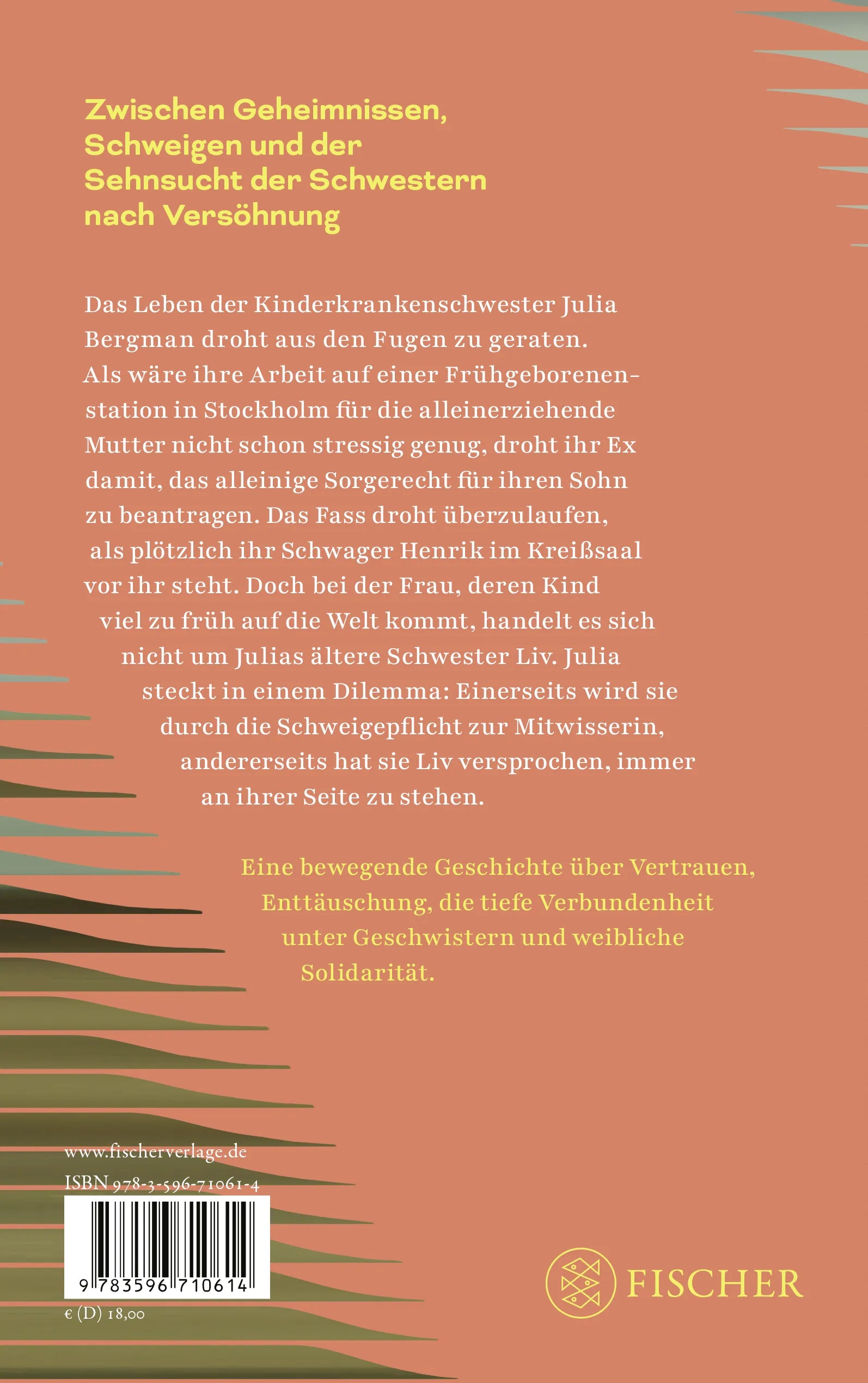 Buchrückseite von 'Junikinder' mit Klappentext - Paperback