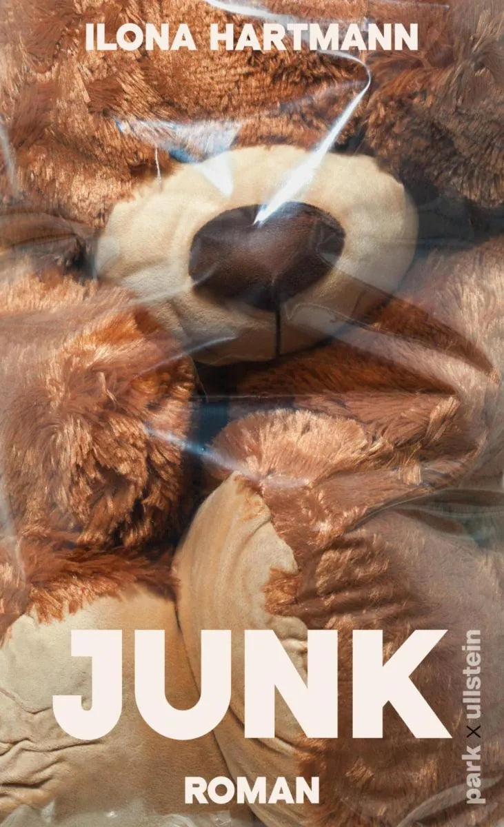 Cover: Junk (E-Book) von Ilona Hartmann