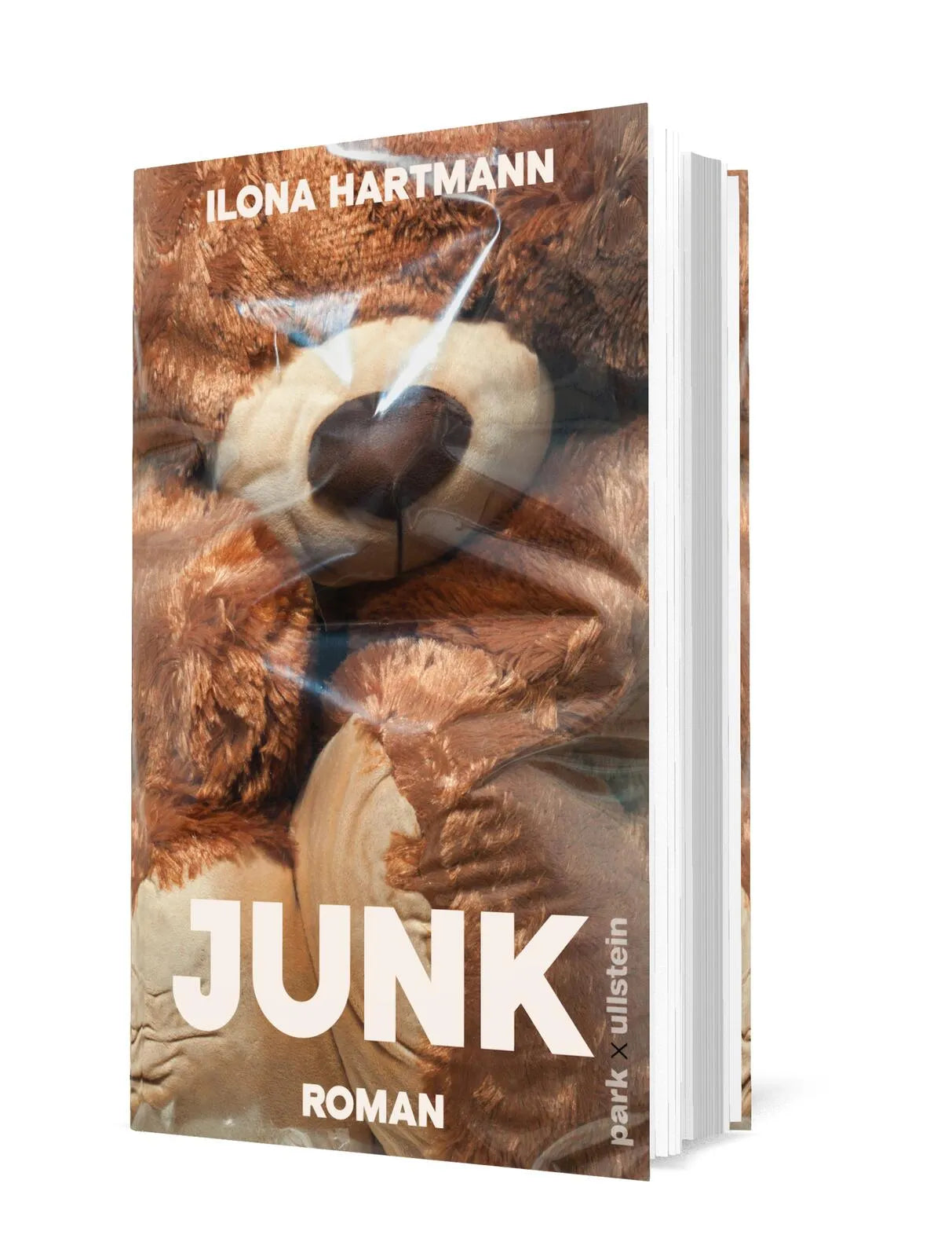 Detailansicht: Junk (Hardcover)