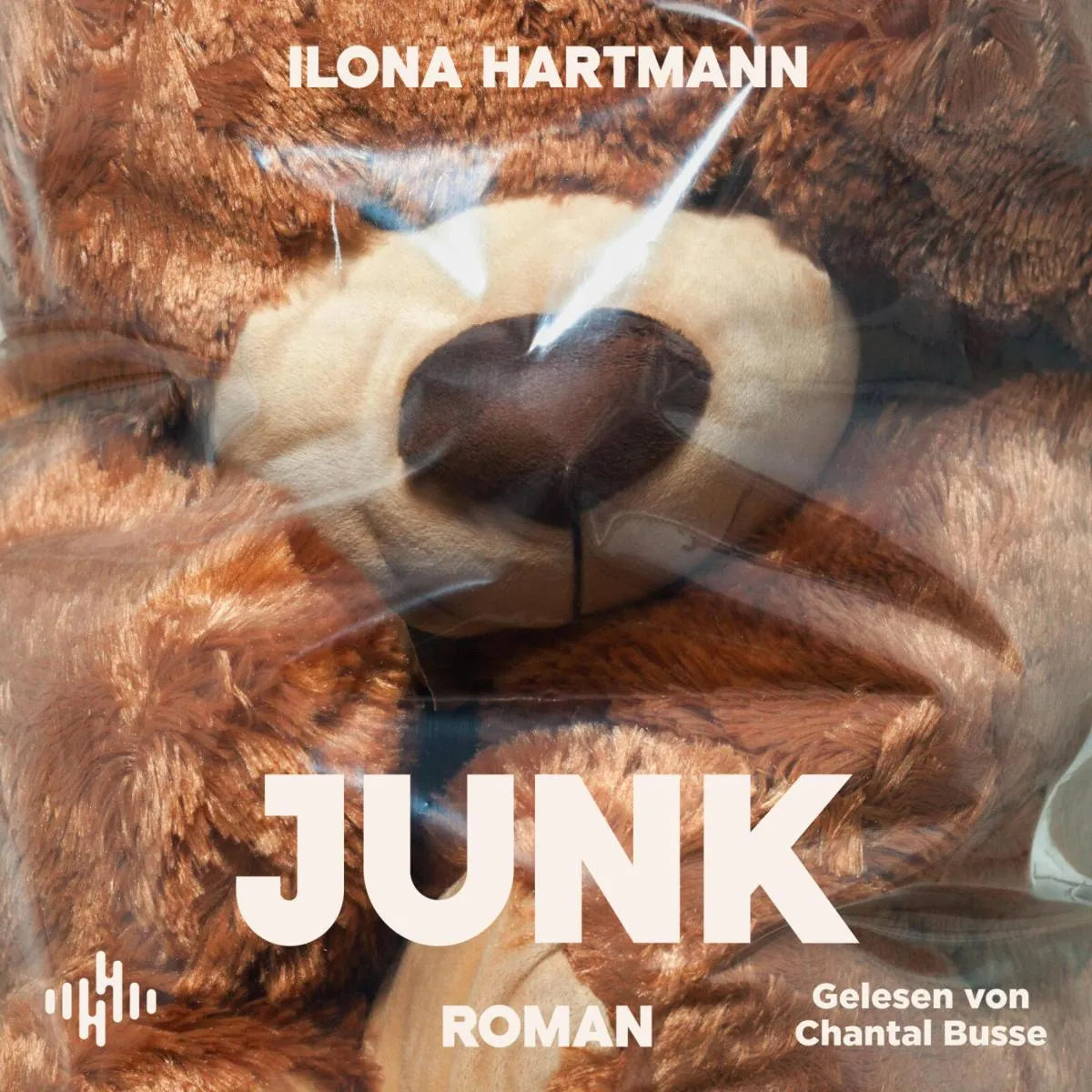Cover: Junk (Hörbuch Download) von Ilona Hartmann