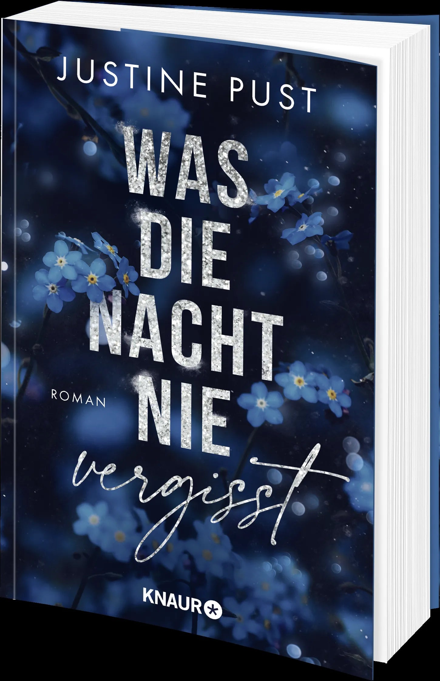 Produktansicht: Was die Nacht nie vergisst (Paperback)