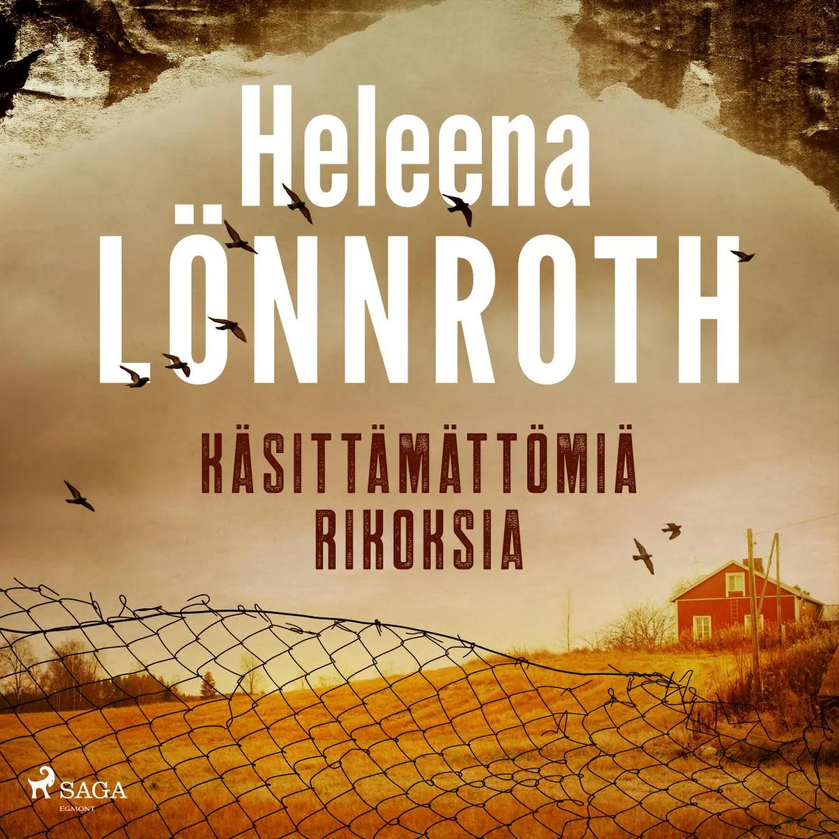Cover: Käsittämättömiä rikoksia (Hörbuch Download) von Heleena Lönnroth