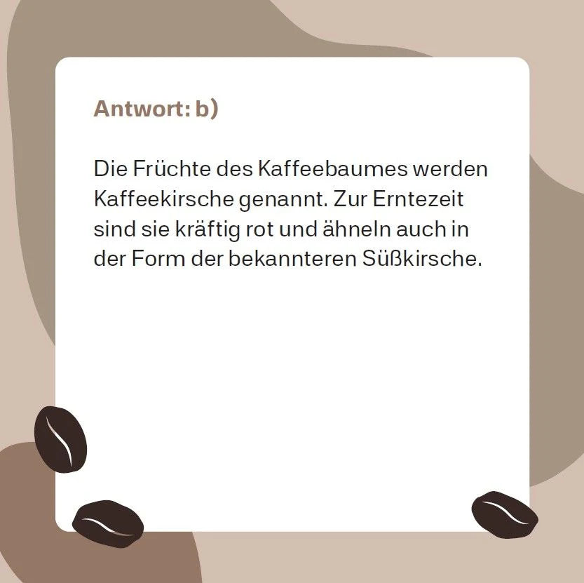 Kaffee-Quiz (Neuauflage) – Ansicht