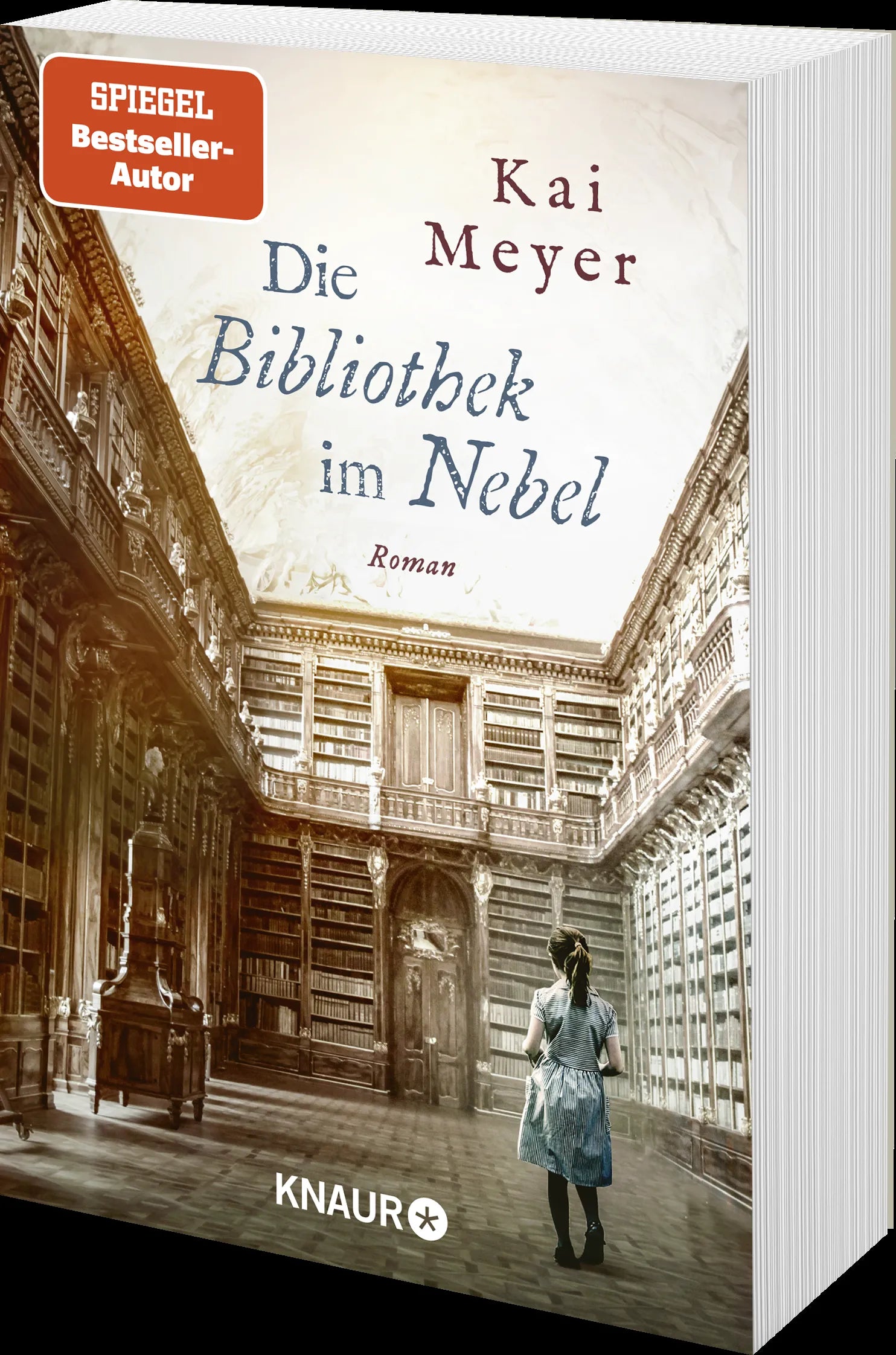 Produktansicht: Die Bibliothek im Nebel (Taschenbuch)