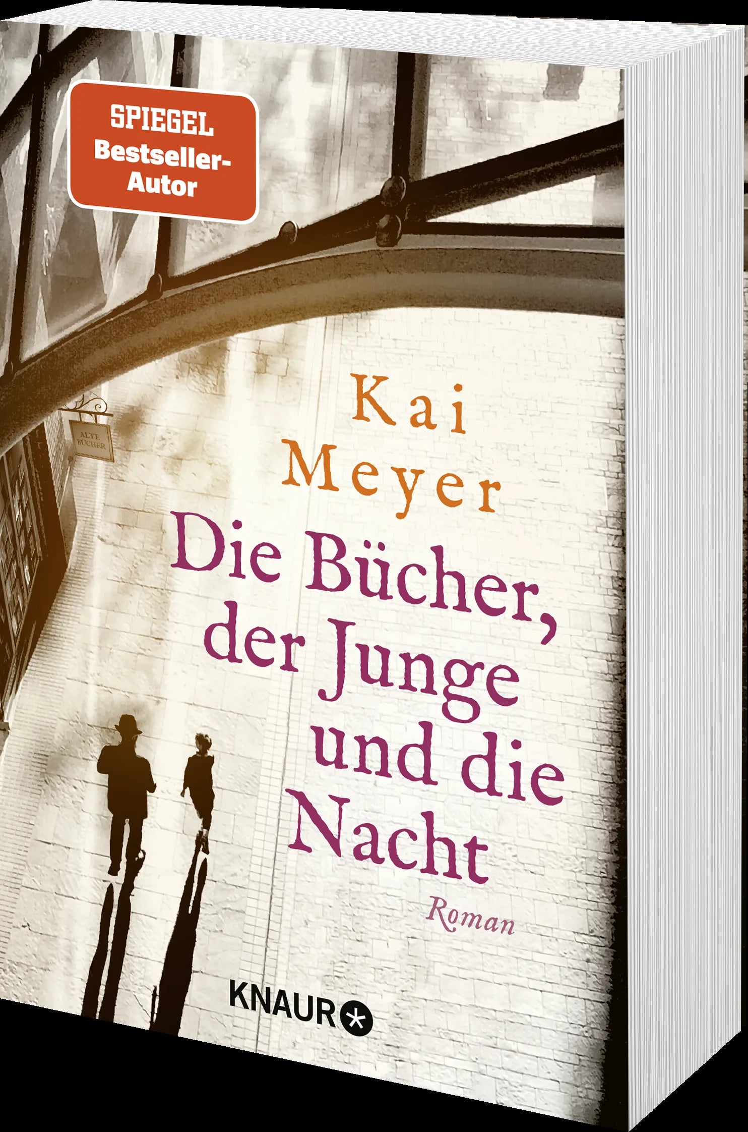 Produktansicht: Die Bücher, der Junge und die Nacht (Taschenbuch)
