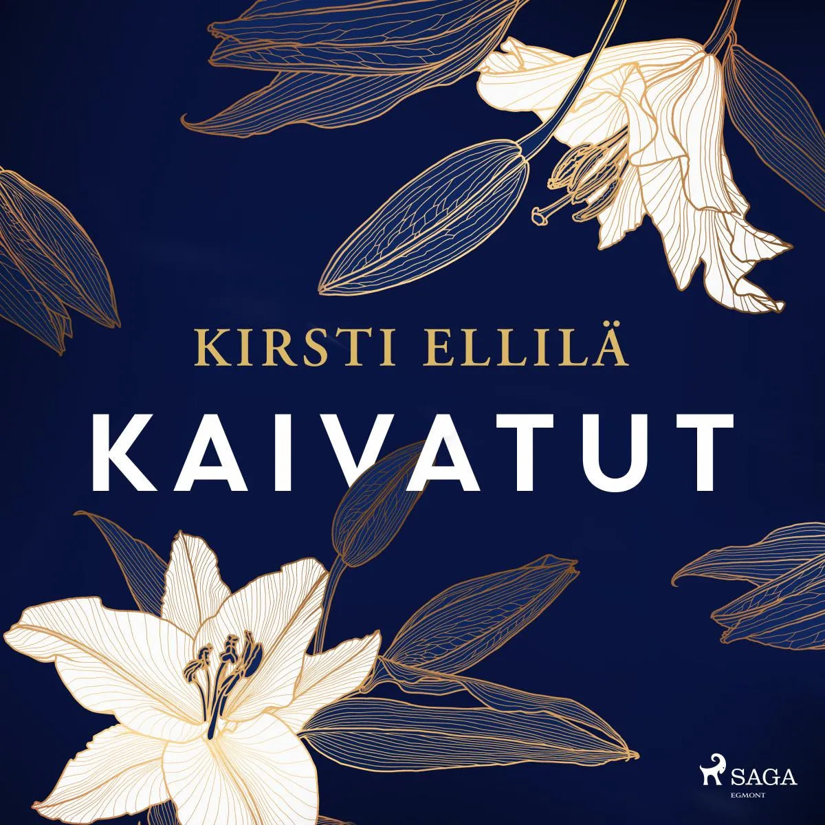 Cover: Kaivatut (Hörbuch Download) von Kirsti Ellilä