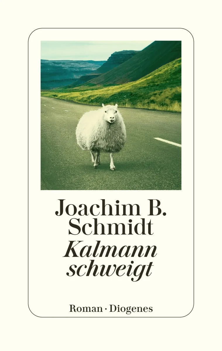 Cover: Kalmann schweigt (Hardcover) von Joachim B. Schmidt