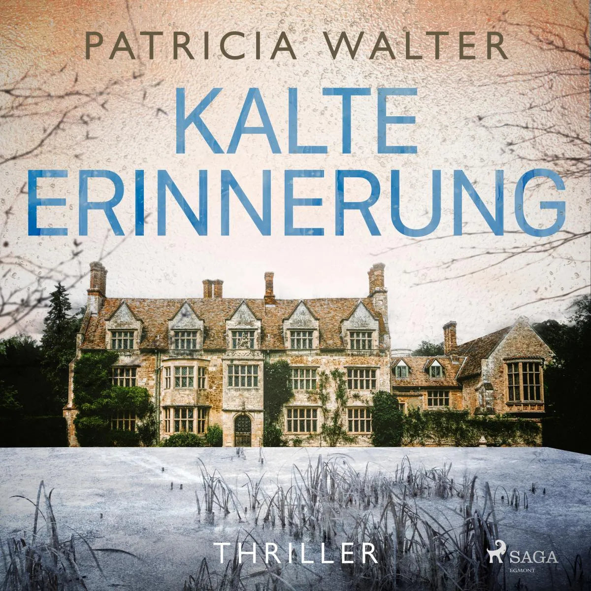 Cover: Kalte Erinnerung (Hörbuch Download) von Patricia Walter