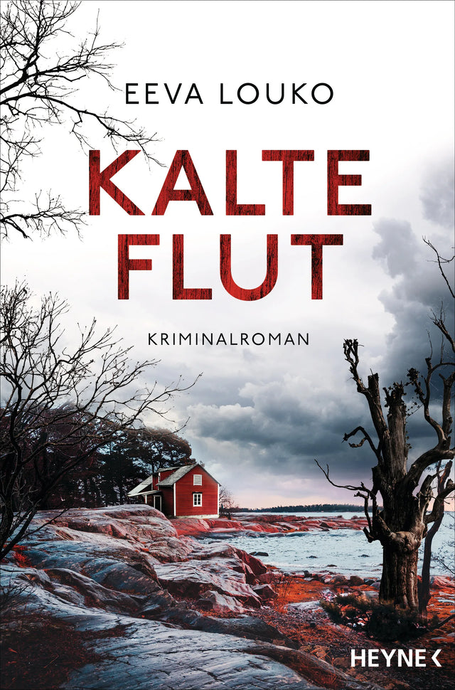 Cover: Kalte Flut (E-Book) von Eeva Louko