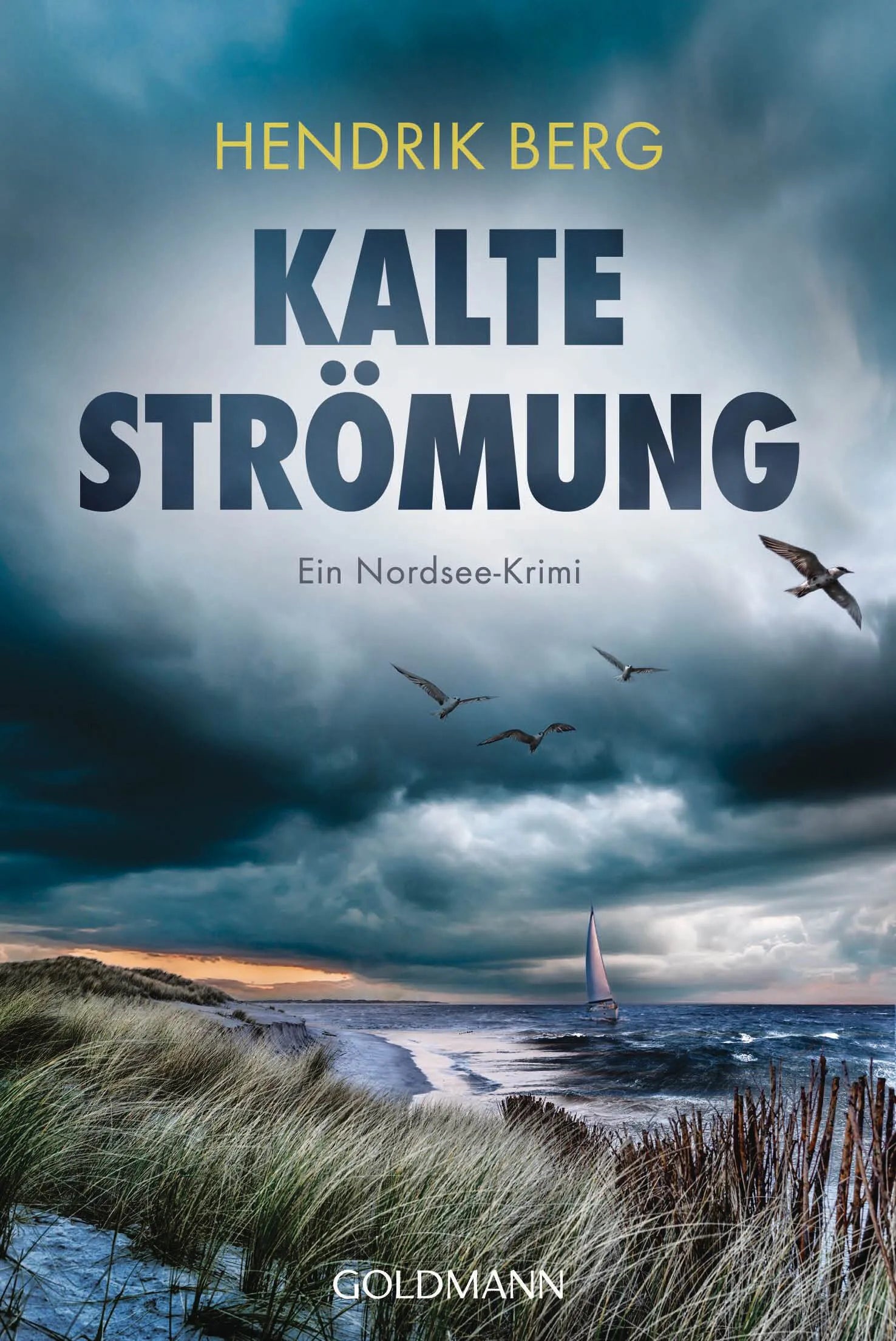 Cover: Kalte Strömung (E-Book) von Hendrik Berg
