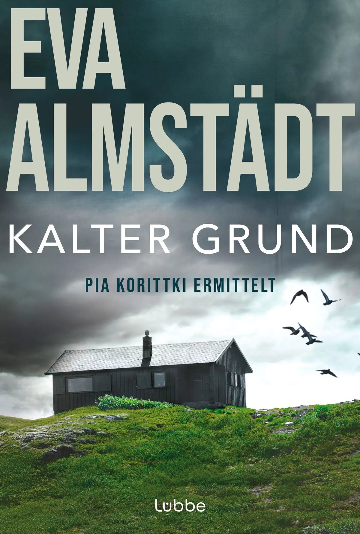 Cover: Kalter Grund (Taschenbuch) von Eva Almstädt