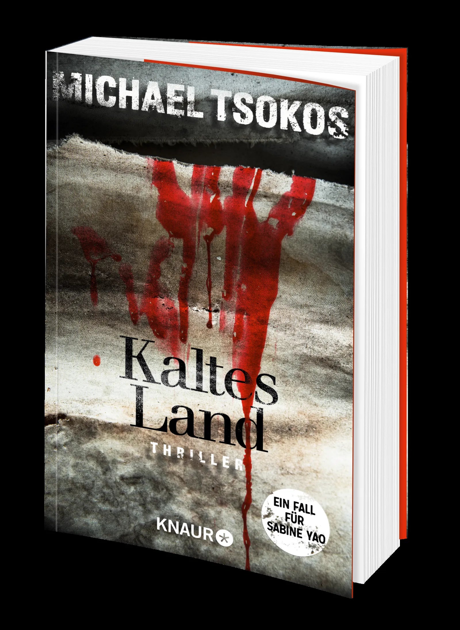 Michael Tsokos - Kaltes Land