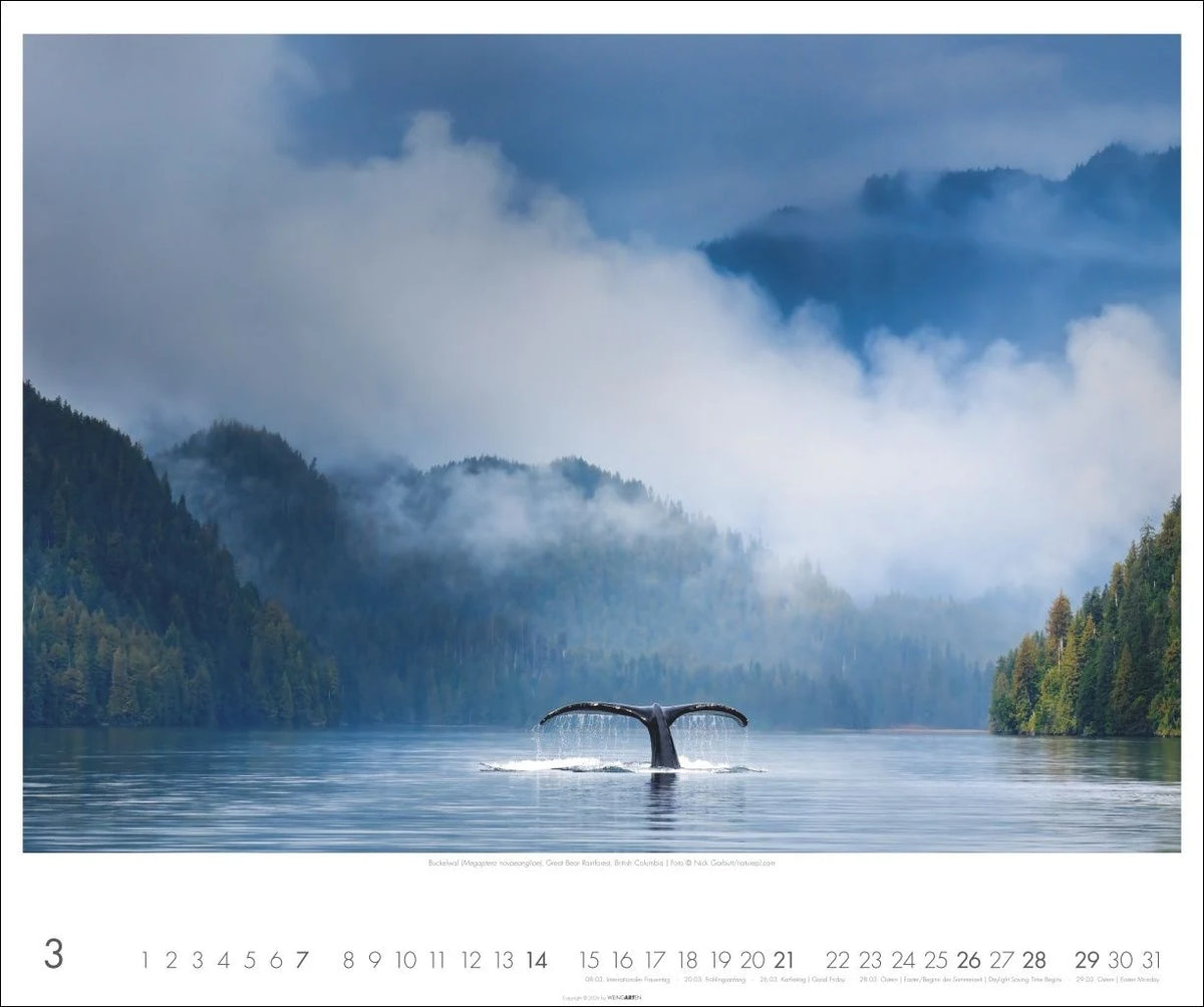 Kanada Kalender 2027 - Der Ruf der Wildnis – Ansicht