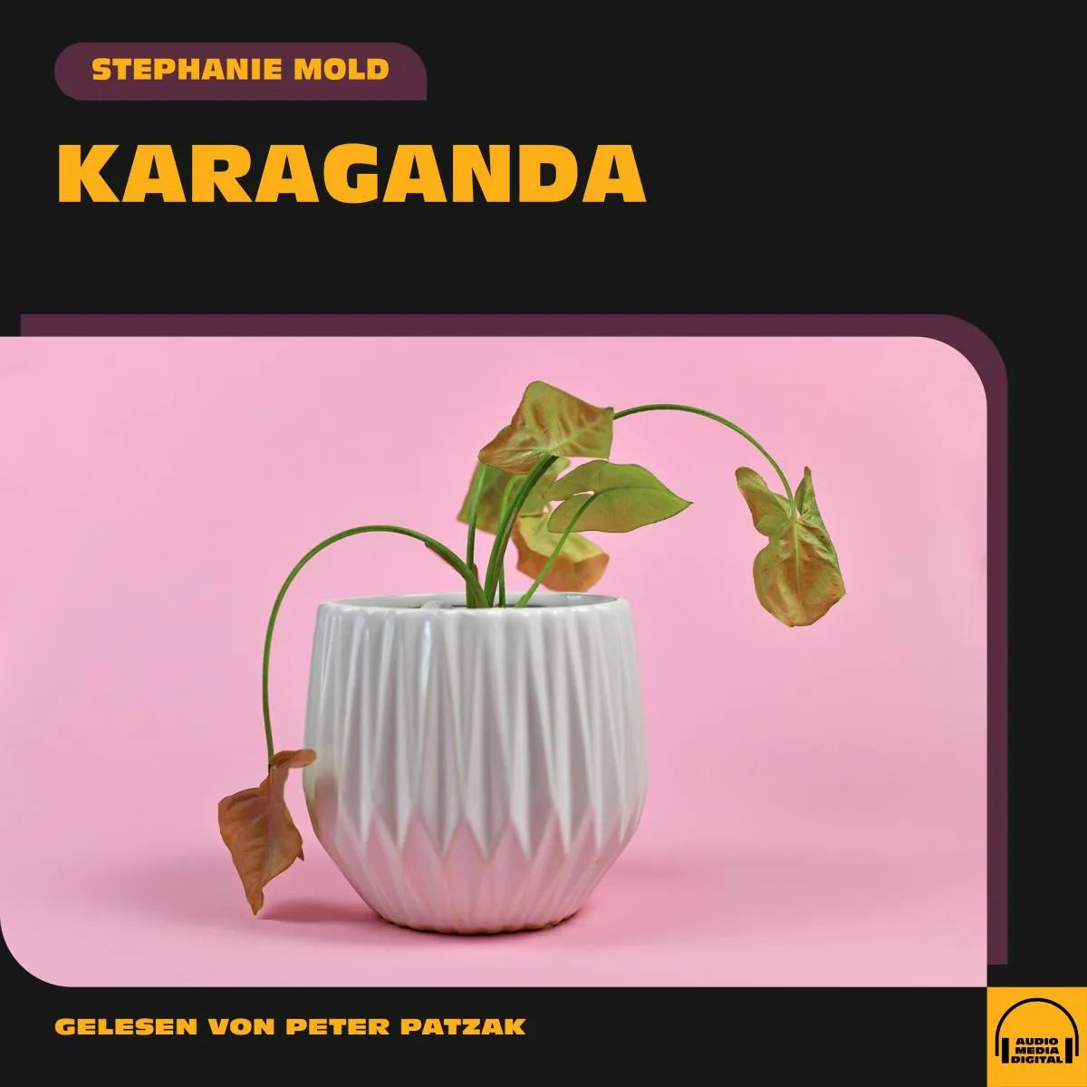 Cover: Karaganda (Hörbuch Download) von Stephanie Mold