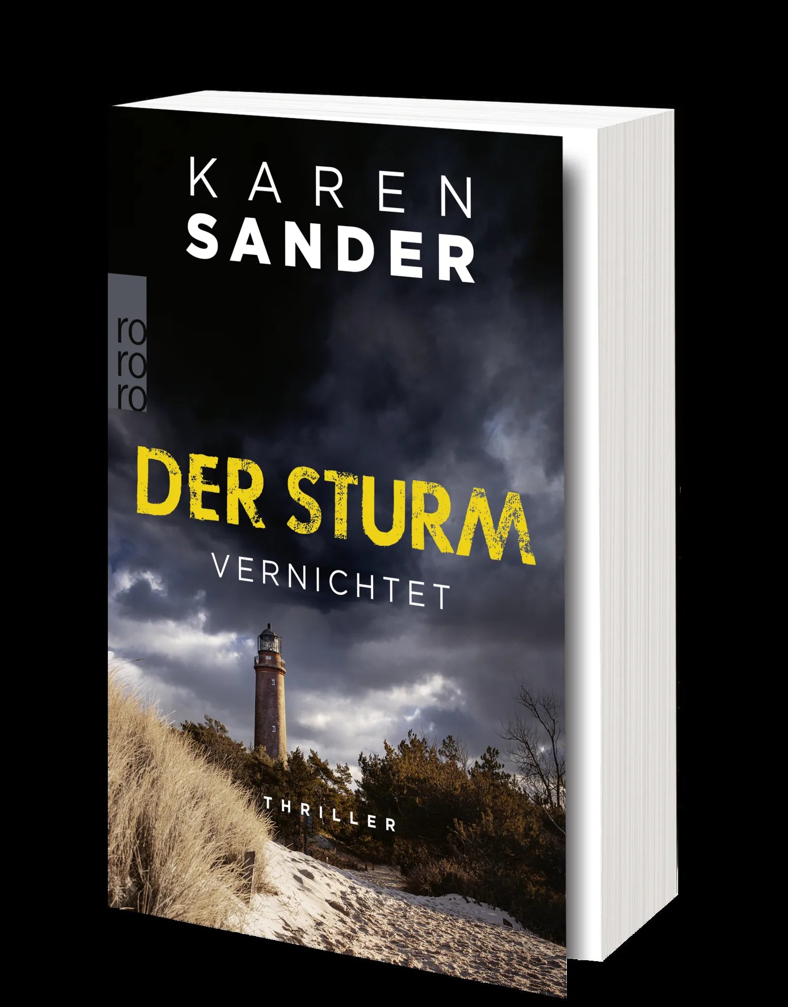 Produktansicht: Der Sturm: Vernichtet (Taschenbuch)