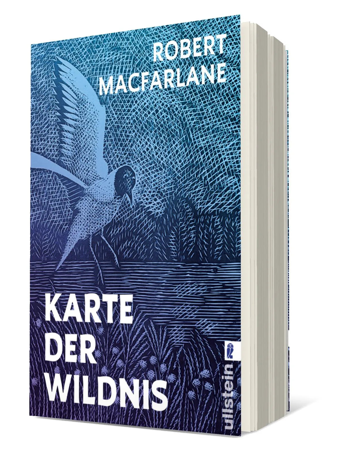 Detailansicht: Karte der Wildnis (Paperback)