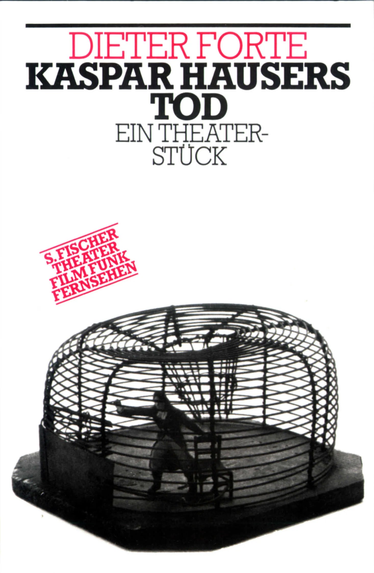 Buchcover von 'Kaspar Hausers Tod' - Taschenbuch von Dieter Forte