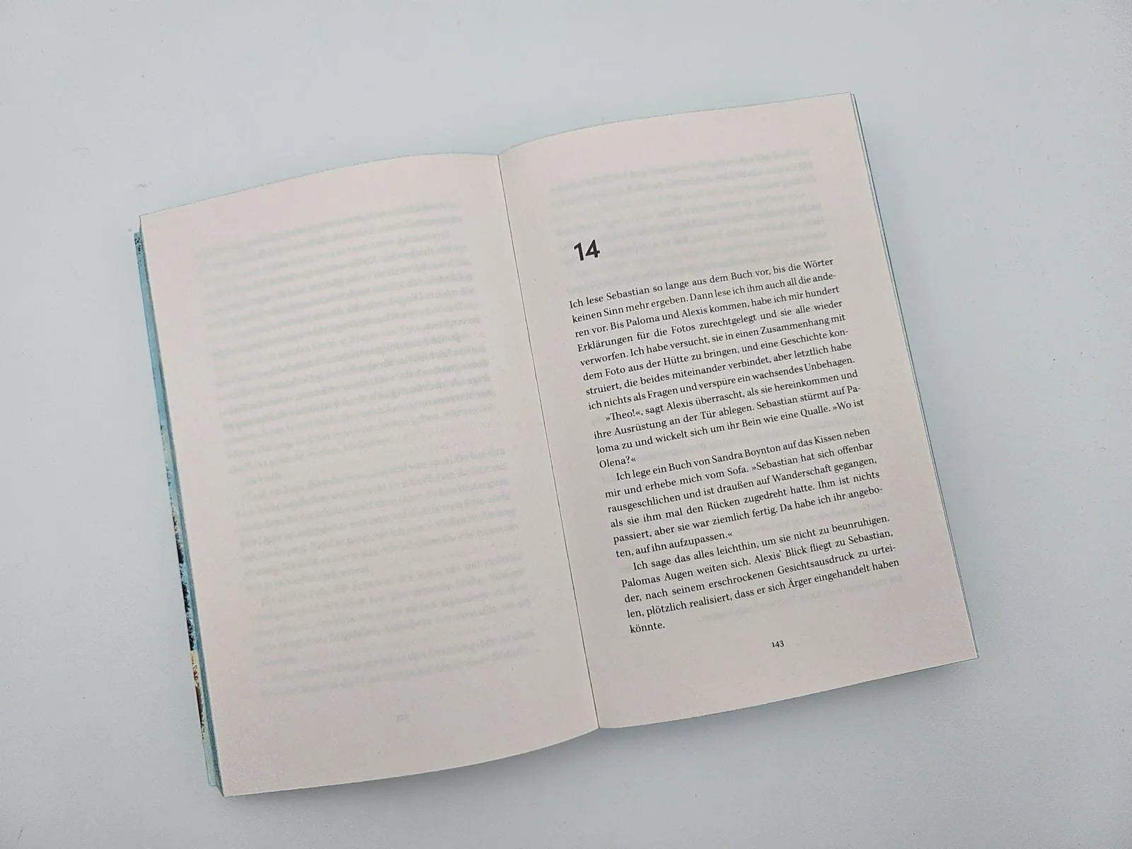 Produktansicht: Eisnebel (Paperback)