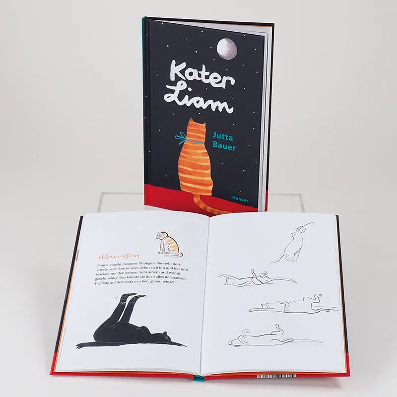 Produktansicht: Kater Liam (Gebundene Ausgabe)