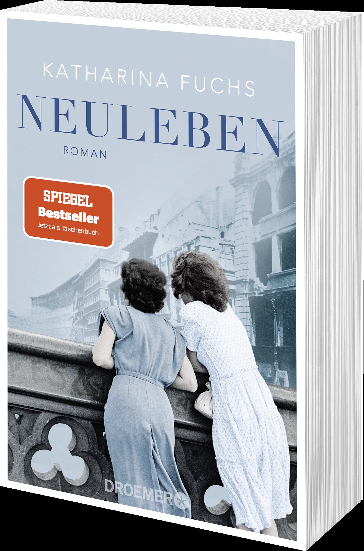Produktansicht: Neuleben (Taschenbuch)
