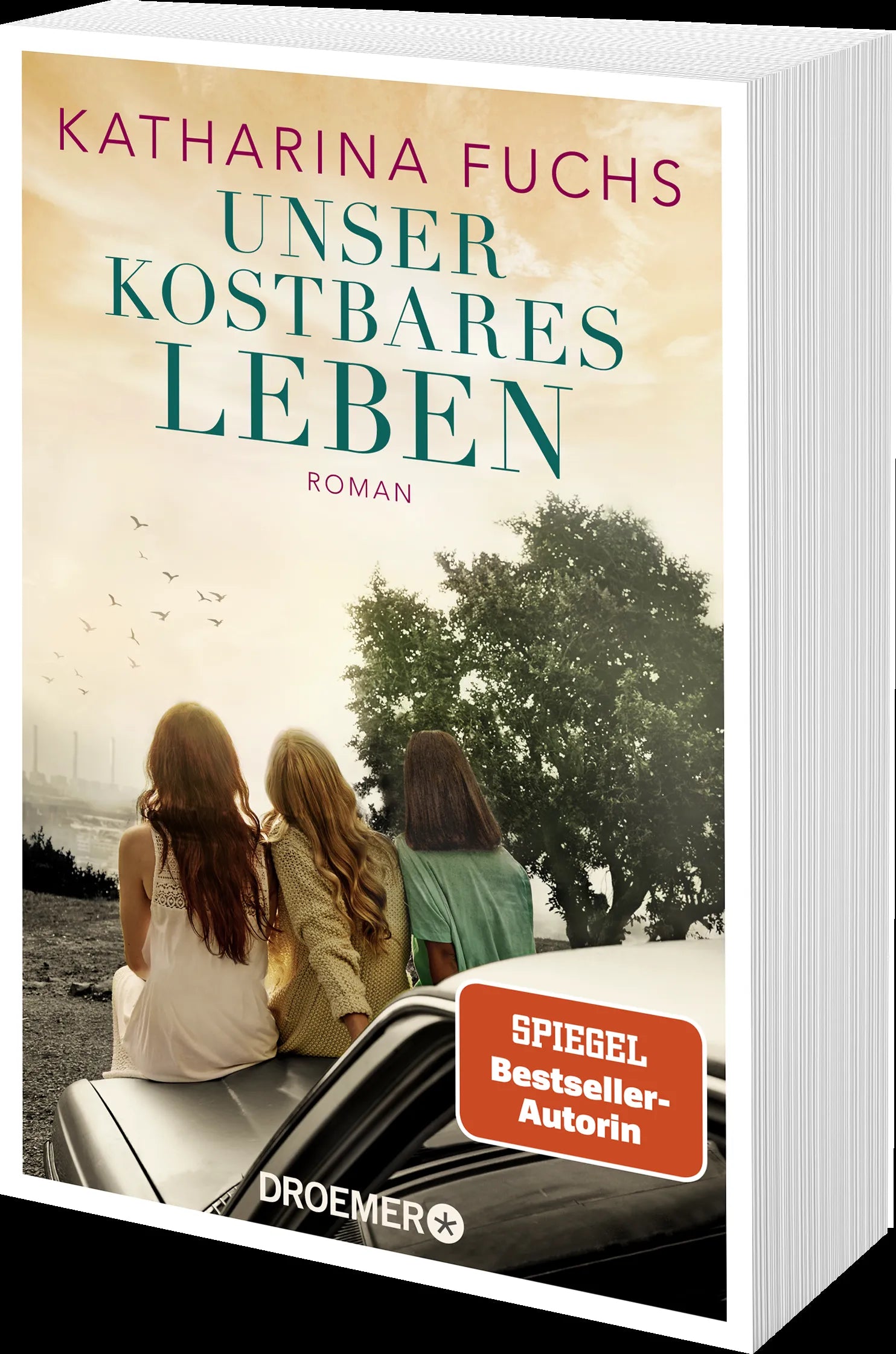 Produktansicht: Unser kostbares Leben (Taschenbuch)