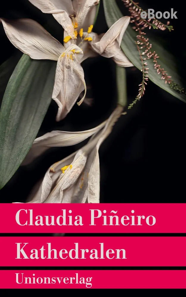Cover: Kathedralen (E-Book) von Claudia Piñeiro