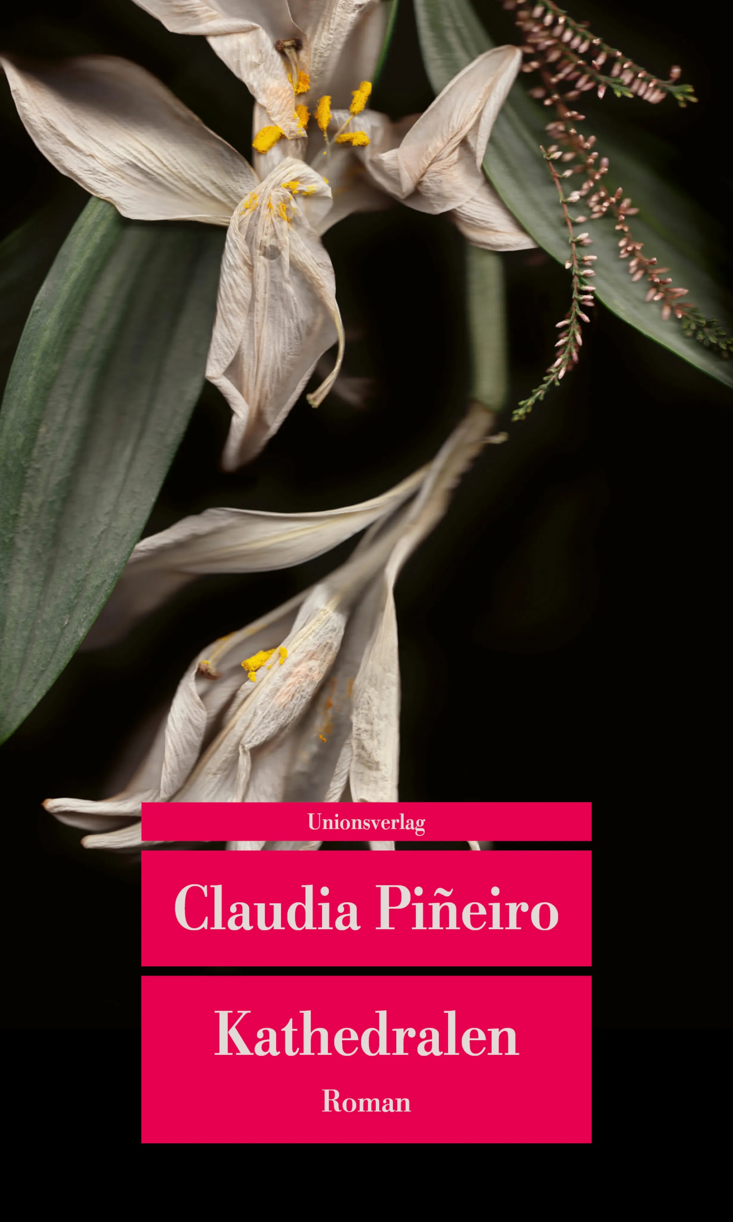 Buchcover von 'Kathedralen' - Taschenbuch von Claudia Piñeiro