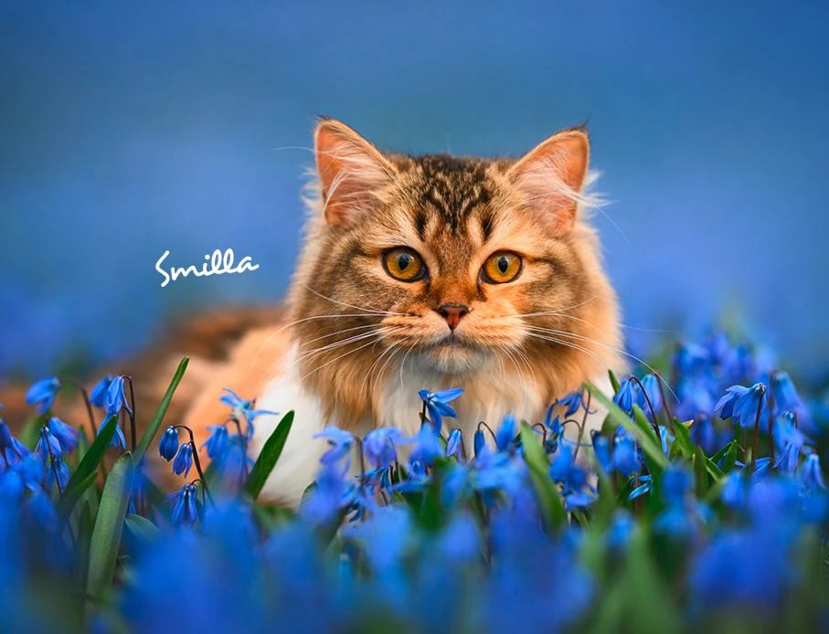 Katzen 2027 Eintragkalender – Ansicht