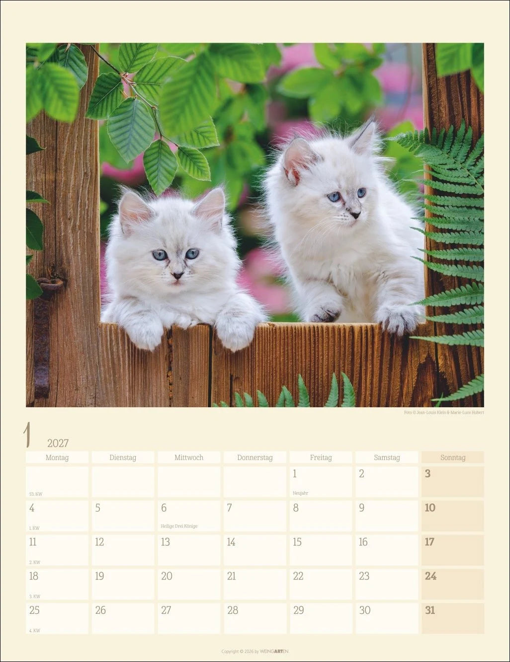 Katzen auf dem Lande Kalender 2027 – Ansicht