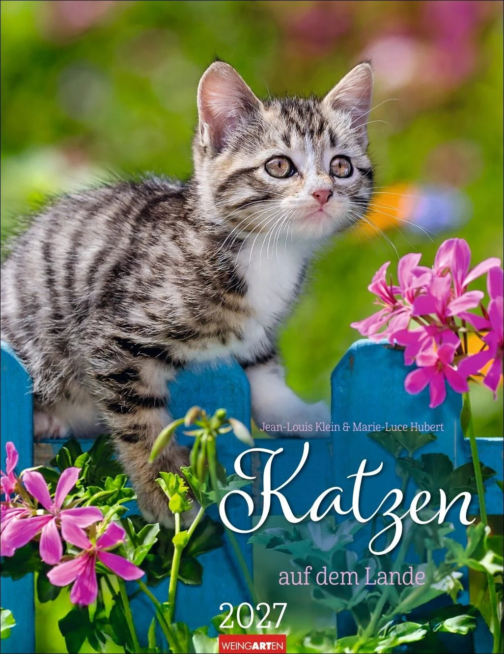 Wandkalender: Katzen auf dem Lande Kalender 2027
