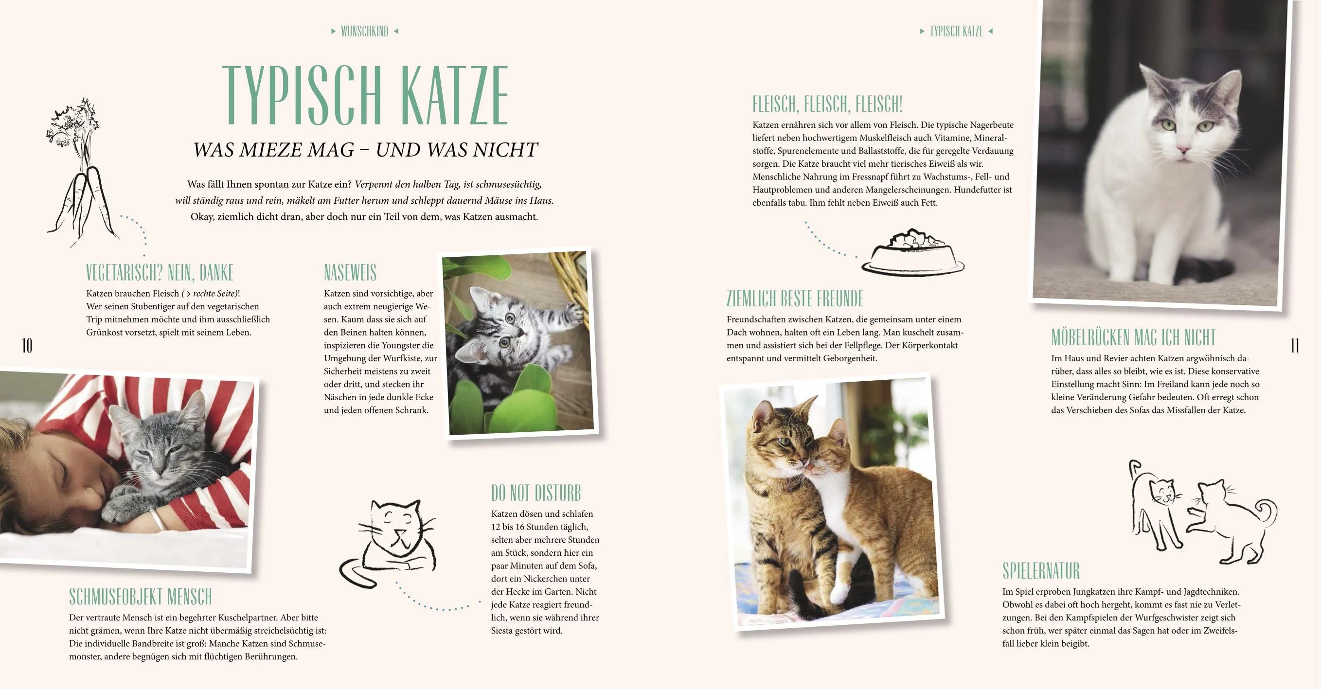 Gerd Ludwig - Katzen-Basics