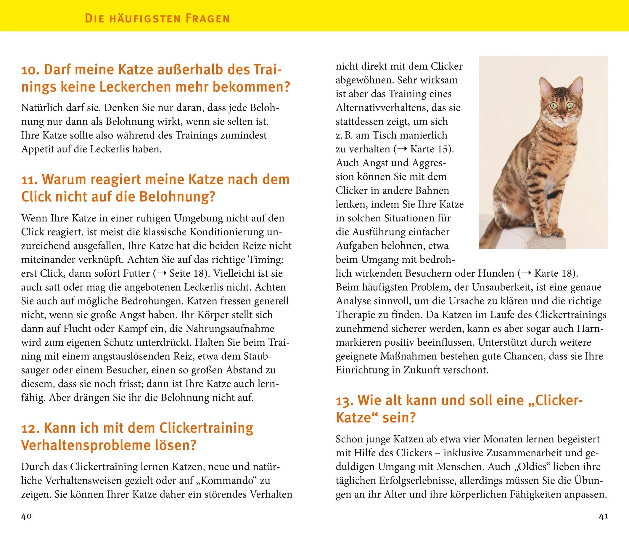 Detailansicht: Katzen-Clicker-Box (Hardcover)
