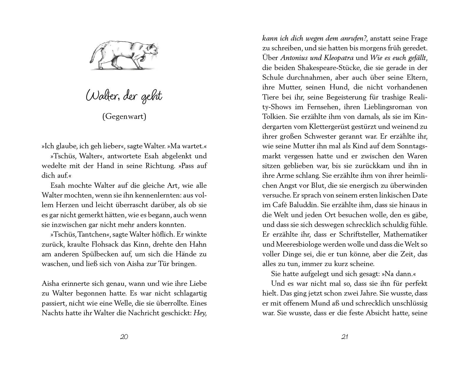 Produktansicht: Katzen, die wir auf unserem Weg trafen (Paperback)