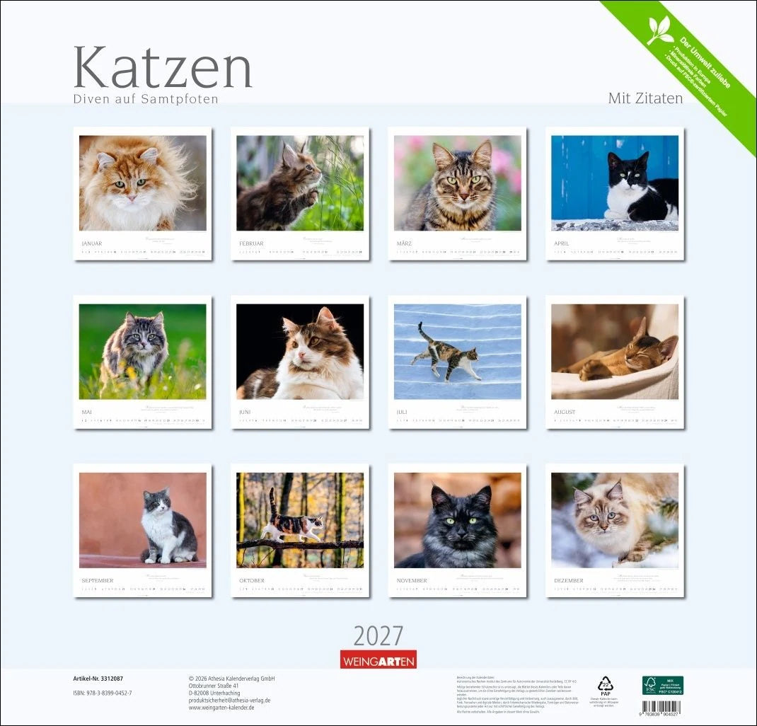 Katzen - Diven auf Samtpfoten Kalender 2027 - Diven auf Samtpfoten – Ansicht