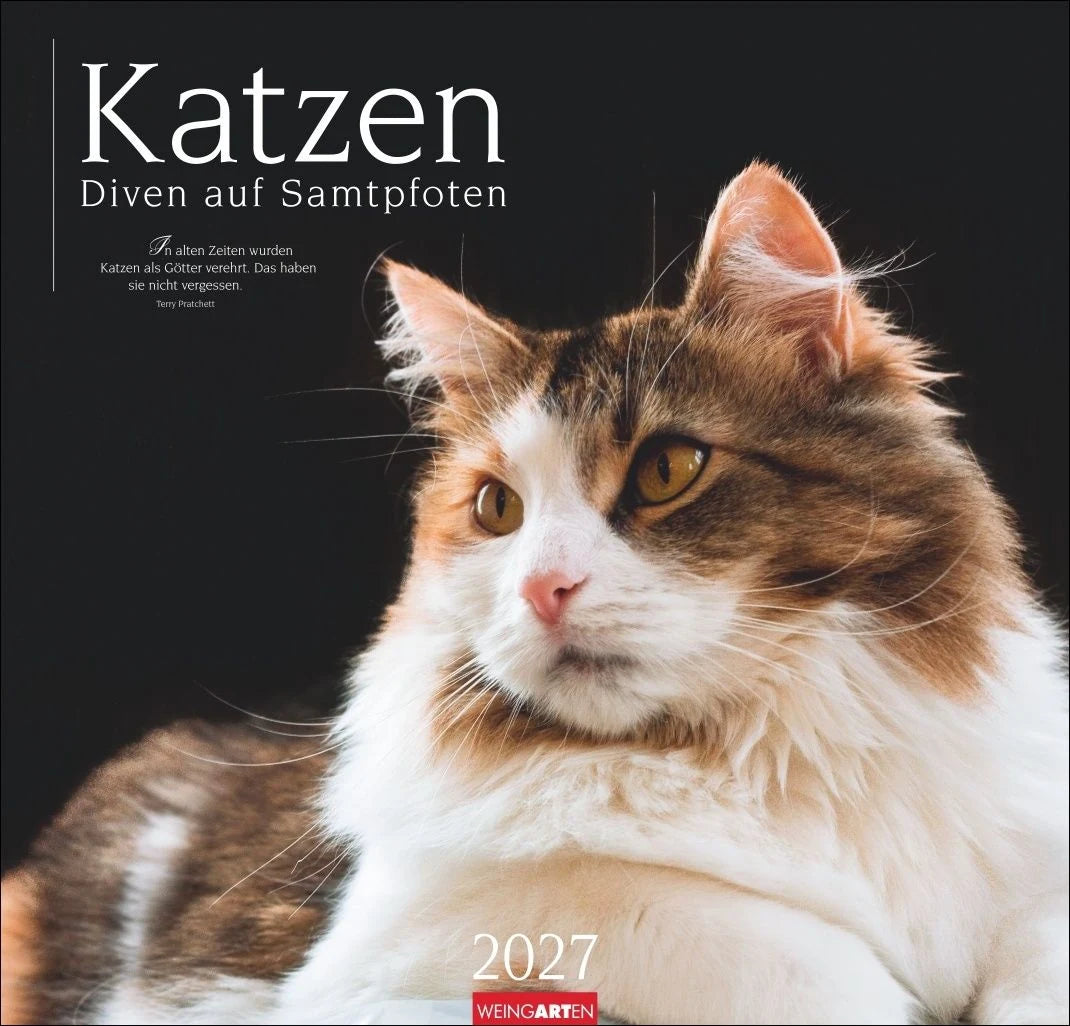 Wandkalender: Katzen - Diven auf Samtpfoten Kalender 2027 - Diven auf Samtpfoten
